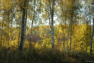 Серия «Вечер»